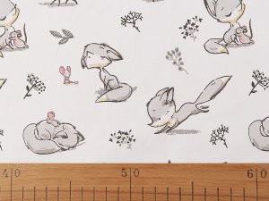 Bavlněná látka / plátno liška