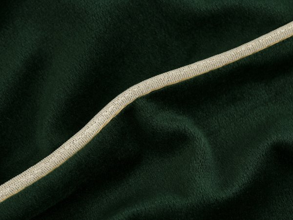 Lurexová paspulka / kédr šíře 10 mm