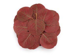 Umělý list eukalyptus k aranžování