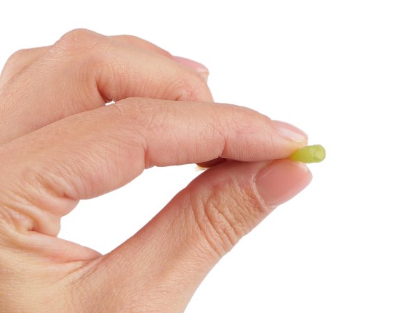 Umělý list eukalyptus k aranžování