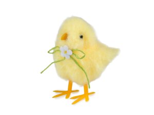 Velikonoční kuřátko