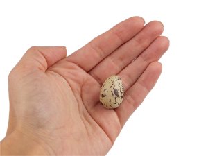 Dekorační křepelčí vajíčka k aranžování