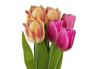 Dřevěný tulipán zápich