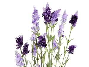 Umělá levandule v proutěném květináči, výška 78 cm