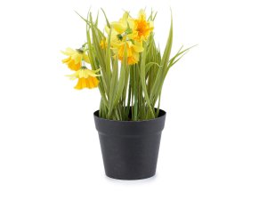 Umělé narcisy v květináči