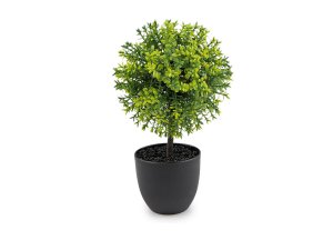 Umělý buxus v květináči
