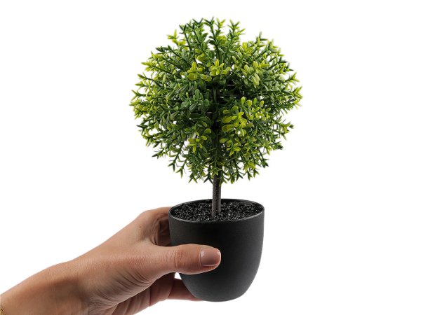 Umělý buxus v květináči