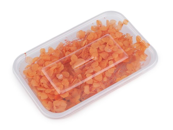 Sušené / stabilizované hortenzie pro suché i mokré aranžování