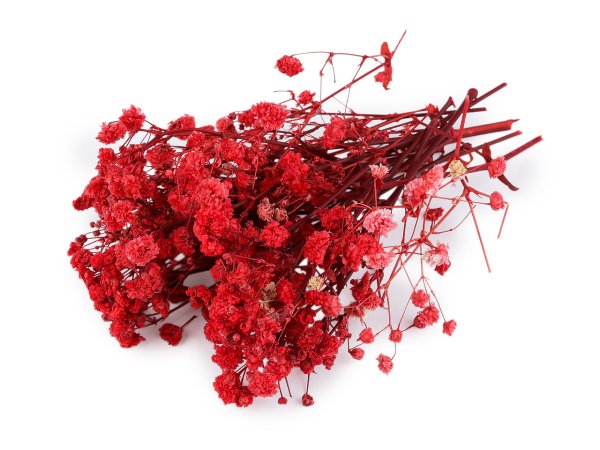 Sušený / stabilizovaný nevěstin závoj pro suché i mokré aranžování