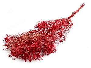 Stabilizovaný nevěstin závoj svazek