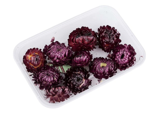 Sušené / stabilizované slaměnky pro suché i mokré aranžování