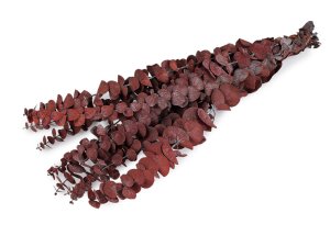 Stabilizovaný eukalyptus svazek