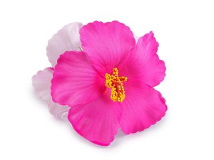 Skřipec do vlasů květy ibišku