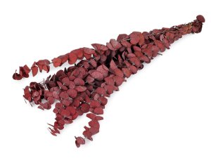 Stabilizovaný eukalyptus svazek