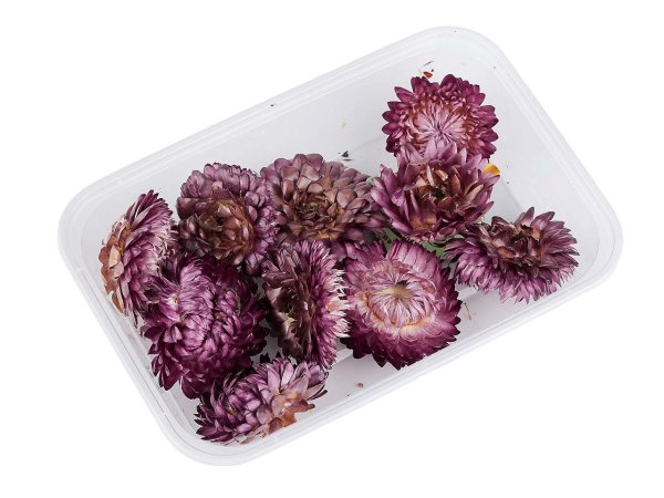 Sušené / stabilizované slaměnky pro suché i mokré aranžování