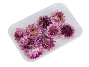 Sušené / stabilizované slaměnky pro suché i mokré aranžování