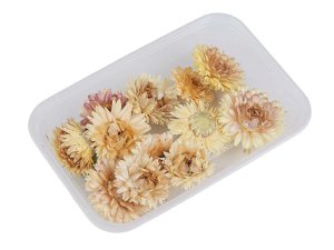 Sušené / stabilizované slaměnky pro suché i mokré aranžování