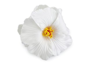 Skřipec do vlasů květy ibišku