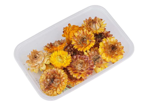 Sušené / stabilizované slaměnky pro suché i mokré aranžování