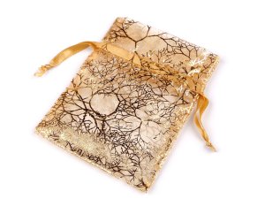Dárkový pytlík zlaté větvičky / strom 10x13 cm organza
