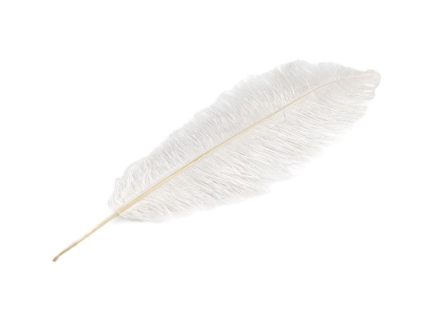 Pštrosí peří délka 53-55 cm