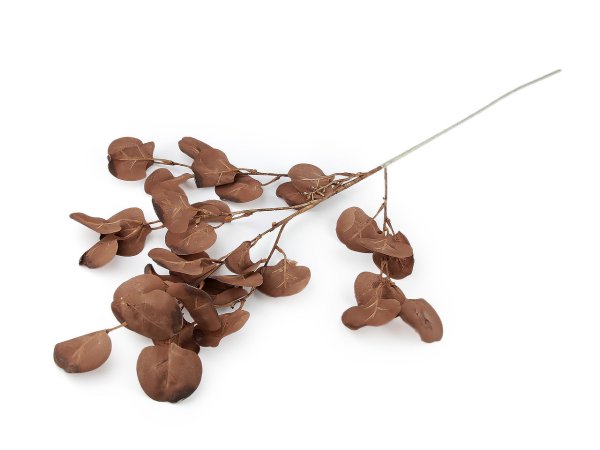 Umělý eukalyptus
