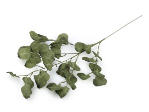 Umělý eukalyptus