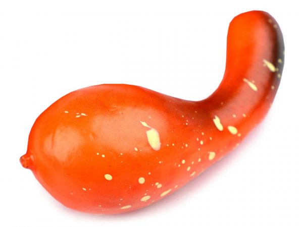 Umělá dýně