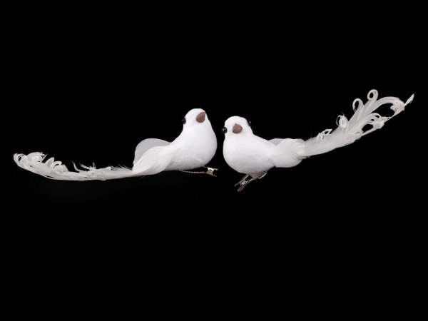 Dekorace holubice s kudrnatým peřím, s klipem