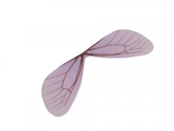 Křídla vážky - polotovar 2,5x8 cm