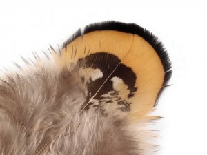 Bažantí peří délka 4,5-8,5 cm