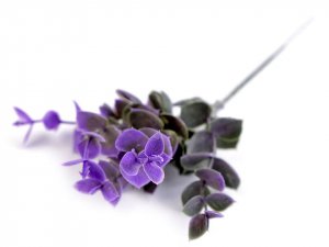 Umělý eukalyptus