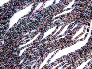 Řetěz šíře 4 mm duhový