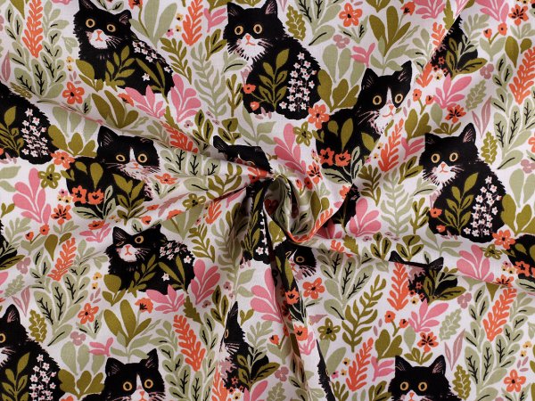 Bavlněná látka / plátno kočky