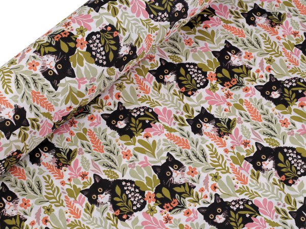 Bavlněná látka / plátno kočky