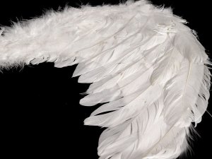 Andělská křídla 35x45 cm