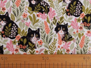 Bavlněná látka / plátno kočky