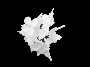 Umělé květy na drátku zasněžené - 1 bílá