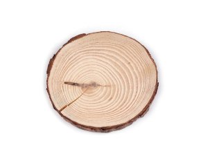 Přírodní dřevěné kolečko / podložka k domalování a dotvoření 2. jakost
