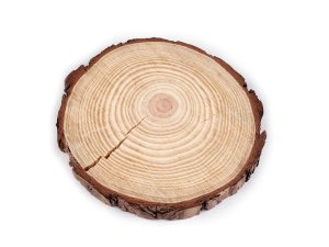 Přírodní dřevěné kolečko / podložka k domalování a dotvoření 2. jakost