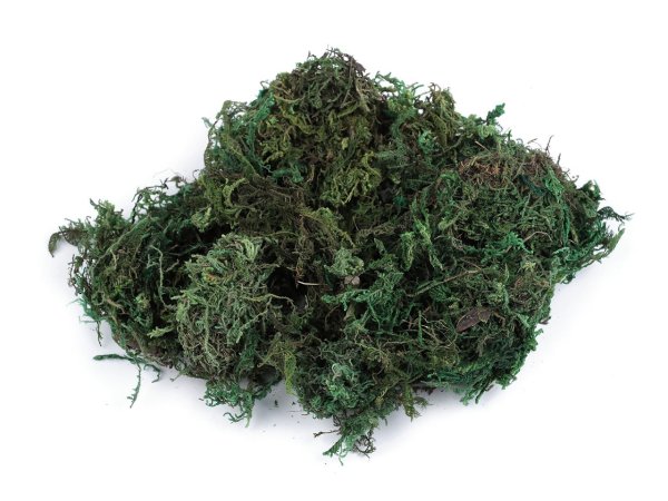 Dekorační mech 30 g