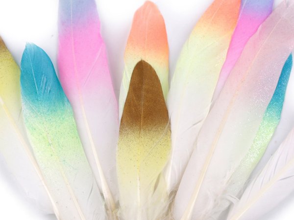 Peří ombré s glitry délka 10-14 cm