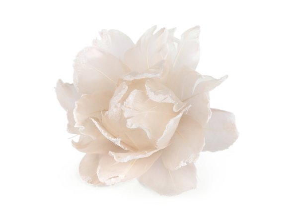 Růže z peří Ø10 cm s klipem