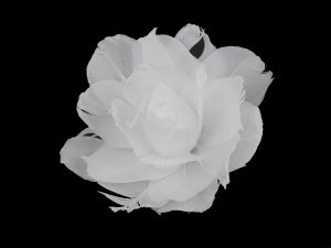 Růže z peří Ø10 cm s klipem - 1 bílá