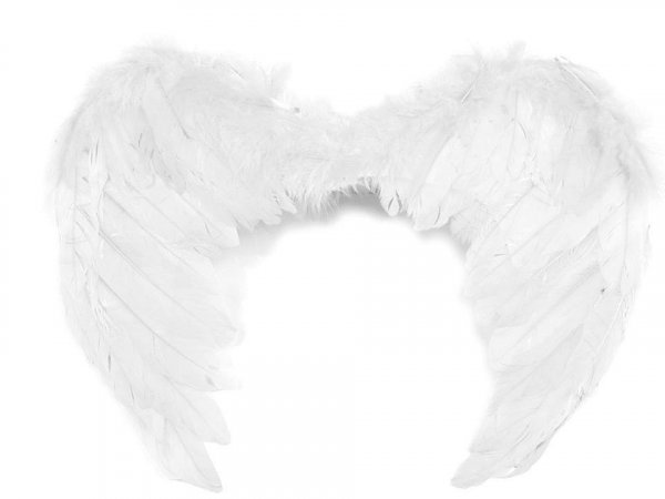 Andělská křídla 35x45 cm 2. jakost