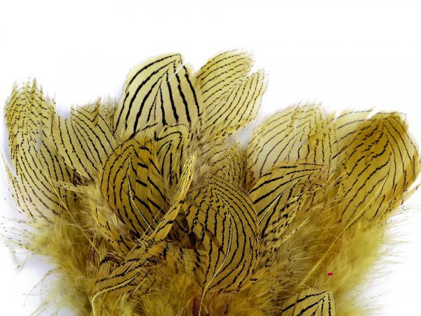 Bažantí peří délka 5 - 11 cm