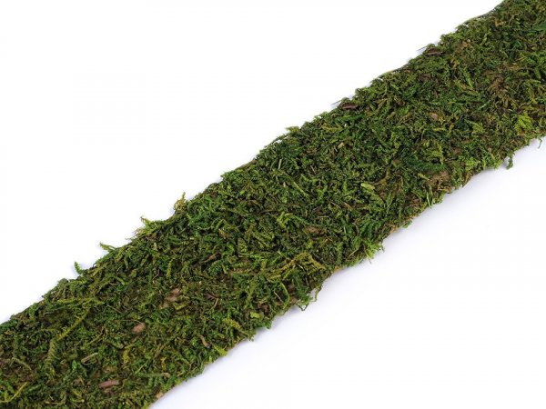 Dekorační mech šíře 5 cm délka 2 m