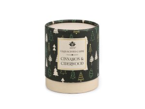 Vonná svíčka ve skle 120 g - 2 (Cinnamon&Ciderwood) zelená