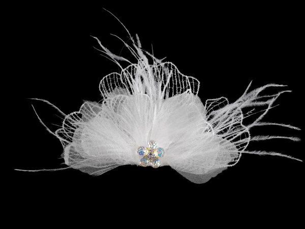 Brož se skleněnými broušenými korálky a peřím