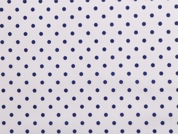 Bavlněná látka / plátno puntíky